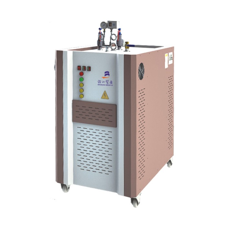 Generador de vapor eléctrico